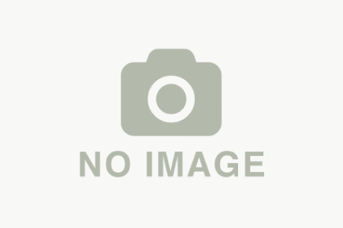 タイトルが入りますタイトルが入りますタイトルが入りますタイトルが入ります